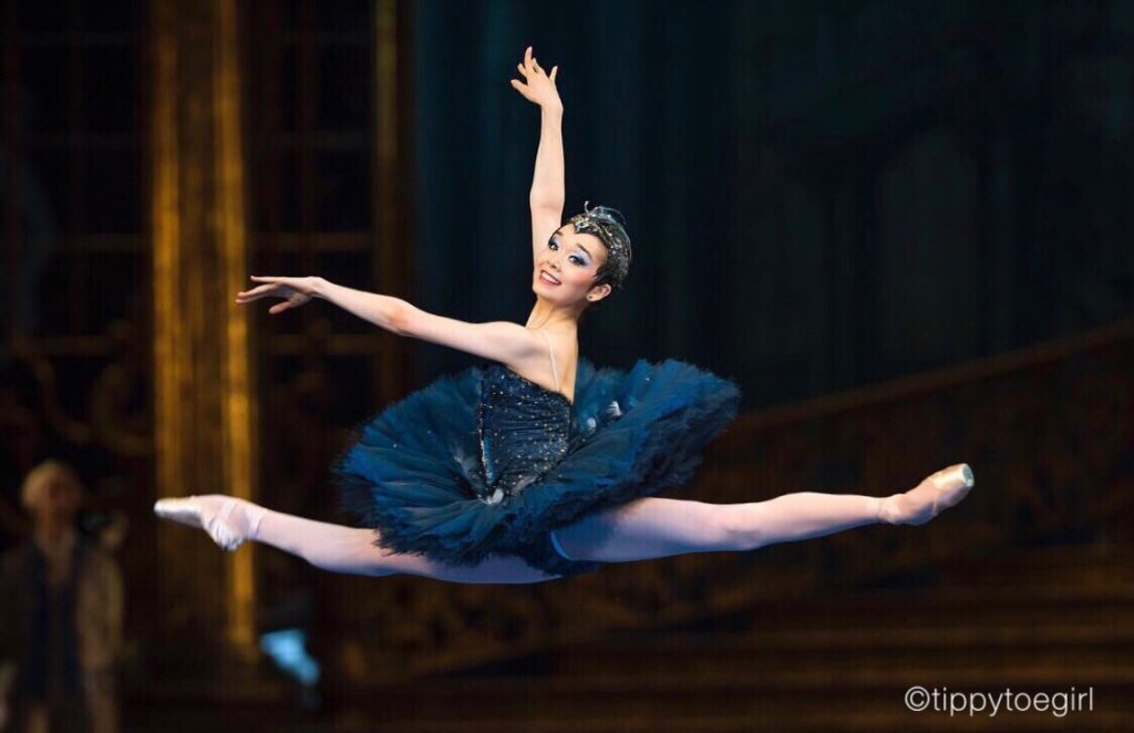 10 Ballet FAQs From TippyToeGirl - Princess Florine in Sleeping Beauty